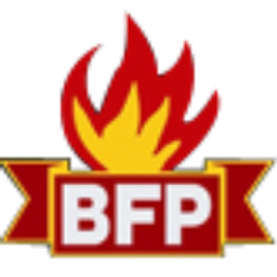 BEACONFIRE STAFFING SOLUTIONS logo