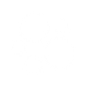 Favicon of Beacons