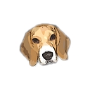 beagleitalia.it icon
