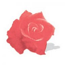 CAROLYN W & CHARLES T BEAIRD logo