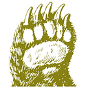 Bear Technology