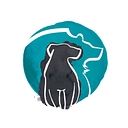 Bear Marketing logo