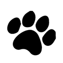 Bearpaw Partners logo