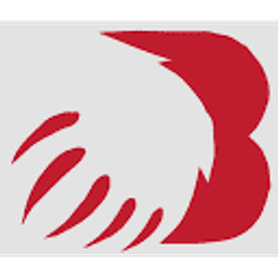 Bear Swamp logo