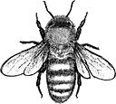 Logo for becausetees.com