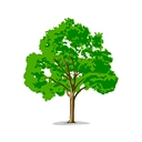 Bedgrove Infant School logo