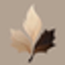 beech&maple logo