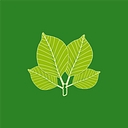 Beech House Dental Practice logo