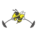 Favicon of BeeFit Cincinnati