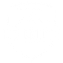 Behemoth Security logo