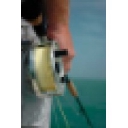 Belize Fly Fishing Outfitters logo