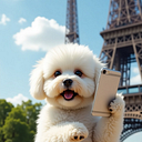 BELLA & PAL Official Website