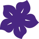 bellavistaravascletto.it icon