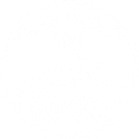 Bellevue Veterinary Emergency + Specialty