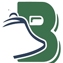 Bell Socialization Services Inc.