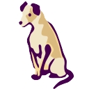 Bellwood Animal Hospital