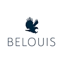 Belouis Investment Group logo