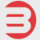 Benara Bearings & Pistons Limited logo