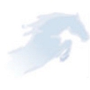 Benchmark Payment Networks logo