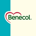 Favicon of Benecol Ireland