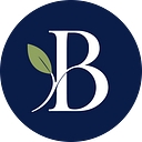 Beneve logo