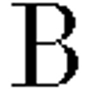 Benini logo