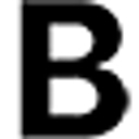 Bennix Investor Group logo