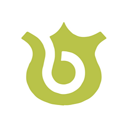 Benvenue Medical logo
