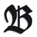 berchtesgadener-anzeiger.de icon