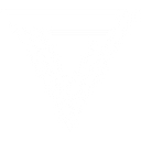 Bergen Cable Technology, Llc logo