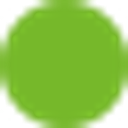 Bergstrom logo