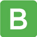 Berg System logo