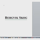 Bergvik Skog AB (publ) logo