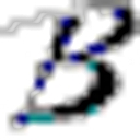 Bering logo