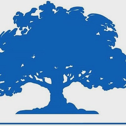 avatar logo