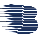 Berkshire Systems Group Inc (Bsgi) logo