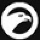 Berkut logo