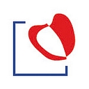 Berlin Heart Inc logo