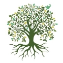 Berlin Mennonite Church logo