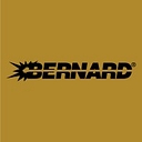 bernardtregaskiss.com icon
