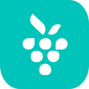 Berrycast Transcripts logo