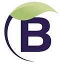 Berry Support Solutions logo