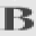 THE BERRY FAMILY FOUNDATION logo