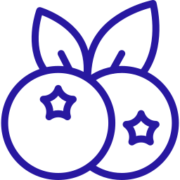 Berry Fresh LLC logo
