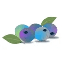 berrysweetlife.com logo