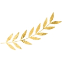 Bespokevenuedecor logo
