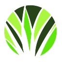 best artificial logo