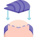 Favicon of Best Hair System