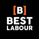 Best Labour Nz logo