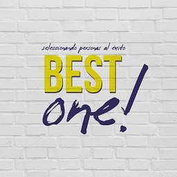 Shayana Limited T/A Best One logo